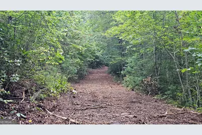 0 Hwy 28, Clayton, GA 30525 - Photo 6