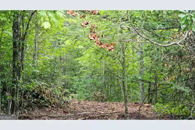 0 Hwy 28, Clayton, GA 30525 - Photo 18