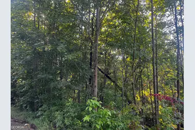 41 Planters Creek, Baldwin, GA 30511 - Photo 4