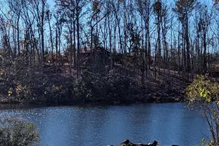 14 Cherokee Resort Rd, Pine Mountain, GA 31822 - Photo 2