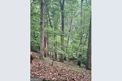 3533 McEver Road, Gainesville, GA 30504 - Photo 6