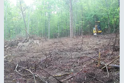 450 Lake Marvin Road, Armuchee, GA 30105 - Photo 8