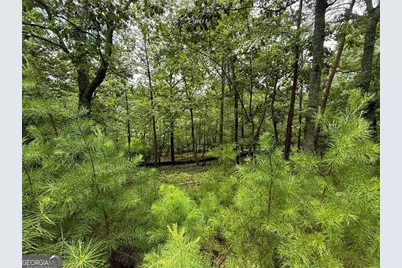 16 Ridgewater Drive, Cartersville, GA 30121 - Photo 4