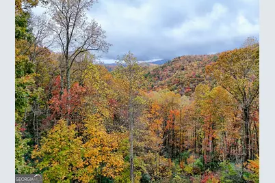 78 Natural Bridge Road, Scaly Mountain, NC 28775 - Photo 38