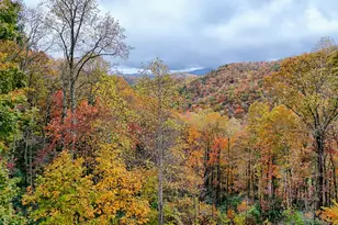 78 Natural Bridge Rd, Scaly Mountain, NC 28775 - Photo 38