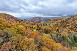 78 Natural Bridge Rd, Scaly Mountain, NC 28775 - Photo 40