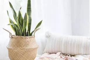 449 Greenwood Ave NE, Atlanta, GA 30308 - Photo 34