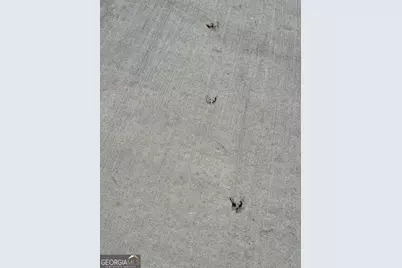 2269 Ga Hwy 119, Guyton, GA 31312 - Photo 4