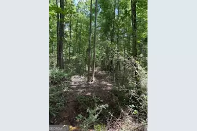Lot 17 Smith Road, Thomaston, GA 30286 - Photo 2