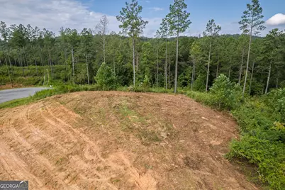 Lot 148 Eddy Waters Circle, Talking Rock, GA 30175 - Photo 14