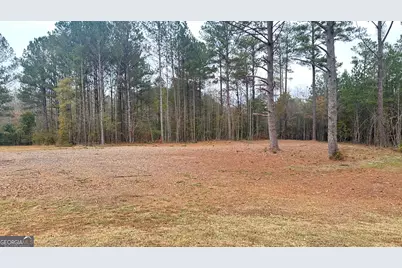 2046 McWilliams Barber Road, Luthersville, GA 30251 - Photo 12