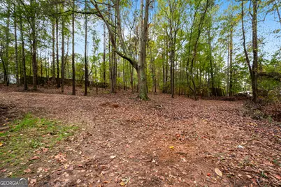 165 Fox Hunt Court, Fayetteville, GA 30214 - Photo 40