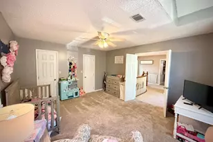 152 Owl Head Trail, Hazlehurst, GA 31539 - Photo 62