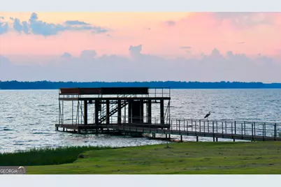 20 Macedonia Road, Fort Gaines, GA 39851 - Photo 8