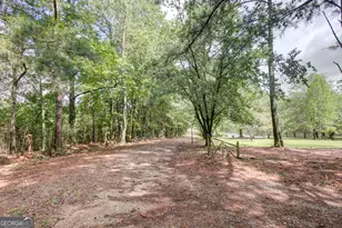 215 Wessmanor Dr, Bowdon, GA 30108 - Photo 40