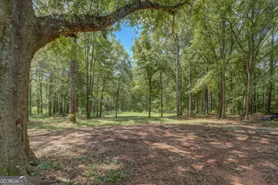 2733 Pitts Chapel Road, Newborn, GA 30056 - Photo 8