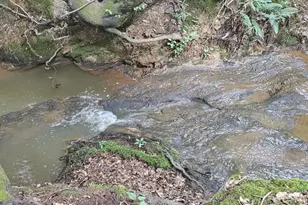 2082 Stroud Rd, Jackson, GA 30233 - Photo 10