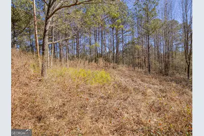 3247 Ga-120 Highway, Tallapoosa, GA 30176 - Photo 12