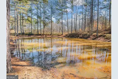 3247 Ga-120 Highway, Tallapoosa, GA 30176 - Photo 1