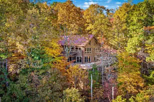 1427 Cherry Lake Drive, Blue Ridge, GA 30513 - Photo 66