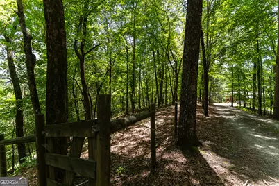 1427 Cherry Lake Drive, Blue Ridge, GA 30513 - Photo 58