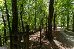 1427 Cherry Lake Drive, Blue Ridge, GA 30513 - Photo 58