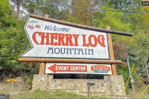 1427 Cherry Lake Drive, Blue Ridge, GA 30513 - Photo 50