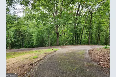 1397 McPherson Church Road, Dallas, GA 30132 - Photo 4