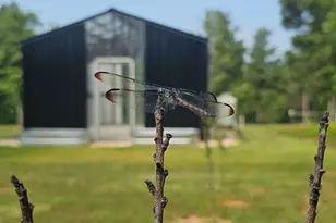 654 Liberty Hill Rd, Milner, GA 30257 - Photo 48