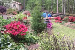 140 Palmetto Pines Rd, Palmetto, GA 30268 - Photo 48