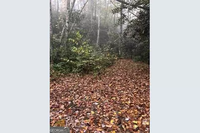 0 Allen Cove Road, Rabun Gap, GA 30568 - Photo 4