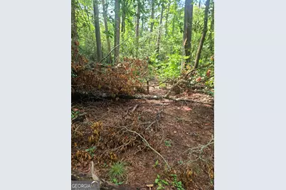 0 Allen Cove Road, Rabun Gap, GA 30568 - Photo 8