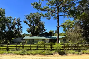 858 Hoke Ogden Rd Ga, Odum, GA 31555 - Photo 1
