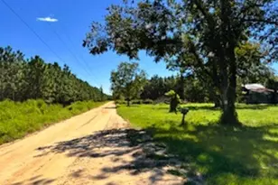 858 Hoke Ogden Rd Ga, Odum, GA 31555 - Photo 6