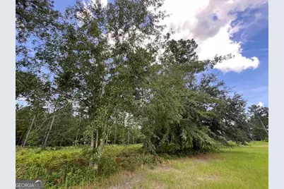 19 Windmill Palm, Brunswick, GA 31523 - Photo 4