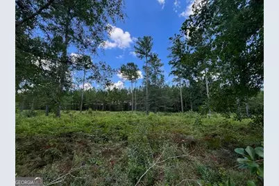 19 Windmill Palm, Brunswick, GA 31523 - Photo 2