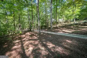 55 Santa Pera Dr, Cleveland, GA 30528 - Photo 38