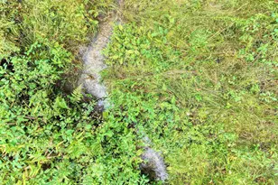 580 Emmaus Rd, Epworth, GA 30541 - Photo 8