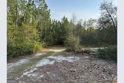 1139 Henry Walcott Road NW, Ludowici, GA 31316 - Photo 14