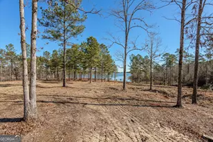 1063 Fleming Lk Ct, Lincolnton, GA 30817 - Photo 68