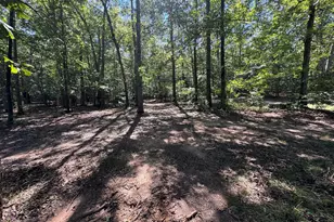 339 Lightwood Ln, Hartwell, GA 30643 - Photo 14