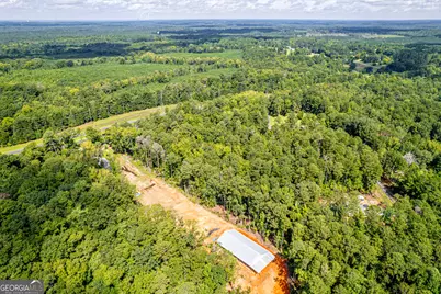 0 Braswell Lake Road, Gray, GA 31032 - Photo 4