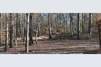 0 Hwy 124, Hoschton, GA 30548 - Photo 1
