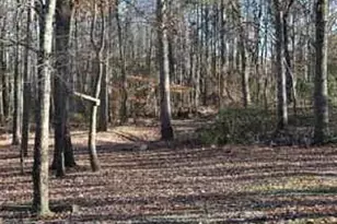 0 Hwy 124, Hoschton, GA 30548 - Photo 1