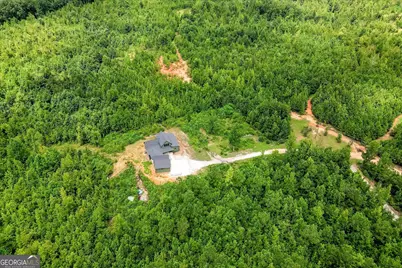 3962 Elberton Highway, Lincolnton, GA 30817 - Photo 6