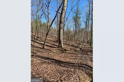 1986 Jones Mountain Road, Jasper, GA 30143 - Photo 2