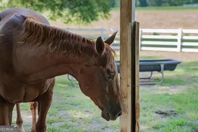 956 Al Roberts Road, Senoia, GA 30276 - Photo 122