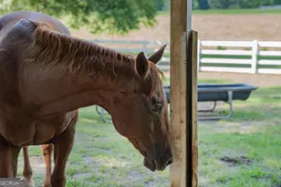 956 Al Roberts Rd, Senoia, GA 30276 - Photo 122