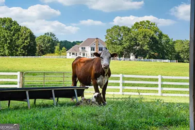 956 Al Roberts Road, Senoia, GA 30276 - Photo 120