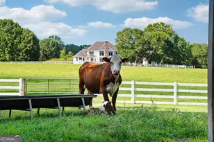 956 Al Roberts Rd, Senoia, GA 30276 - Photo 120